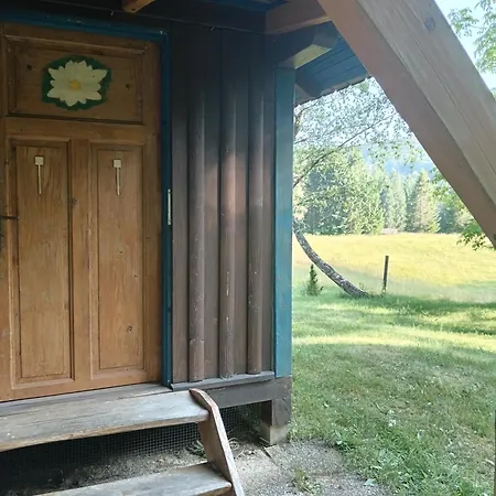 Hidden Near