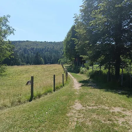 Kamp alanı Forest Black Stream - Wilderness Experience *