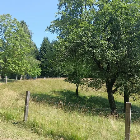 مكان تخييم Hidden Near