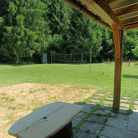 Forest Black Stream - Wilderness Experience