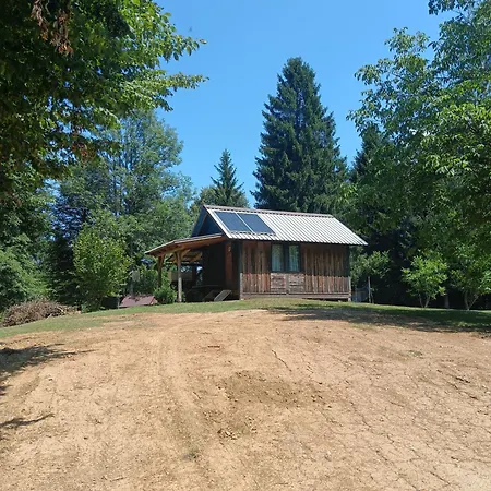 Forest Black Stream - Wilderness Experience * Kocevje