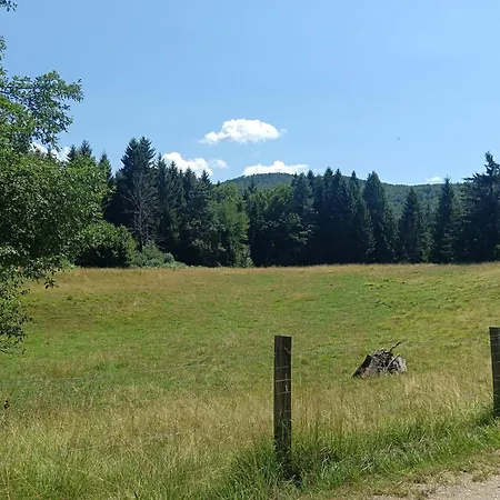 캠프장 Hidden Near *