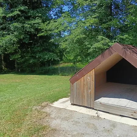 Hidden Near كوشيفج