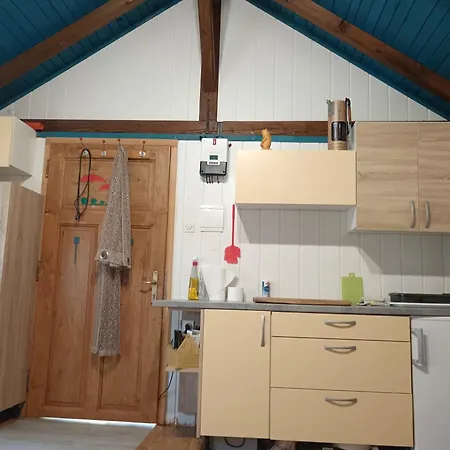 Hidden Near 코체비에