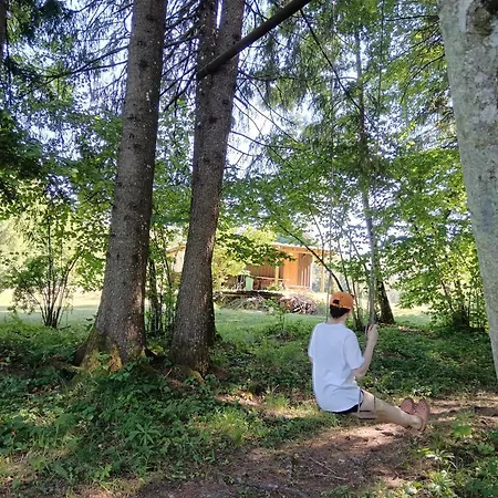 Forest Black Stream - Wilderness Experience * Kocevje