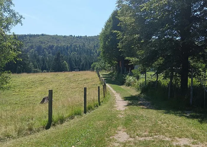 Campsite Hidden Near *