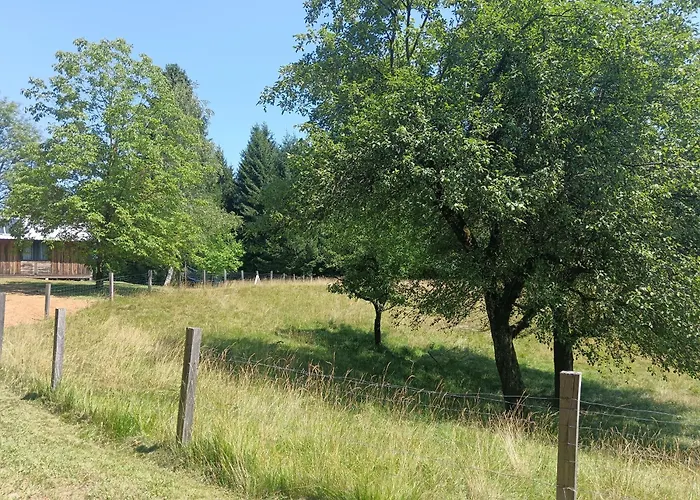 Campsite Hidden Near