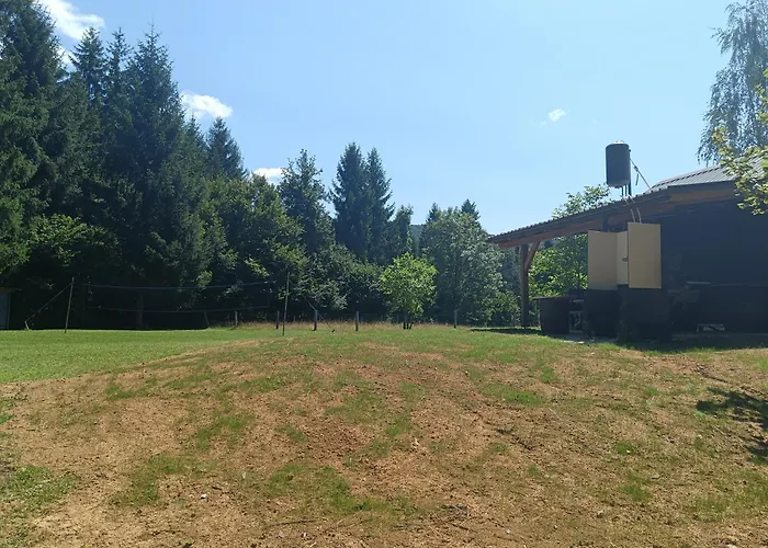 Campsite Hidden Near