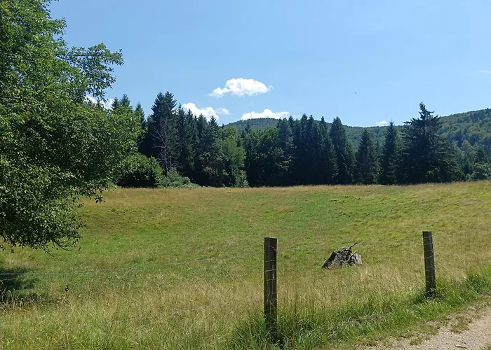 Campsite Hidden Near *