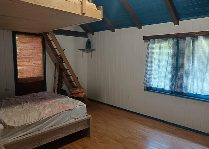 Hidden Near Campsite *