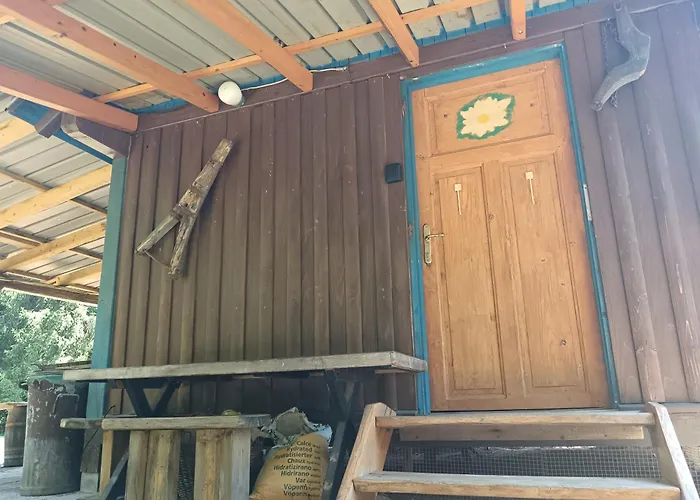 Hidden Near Campsite Kocevje