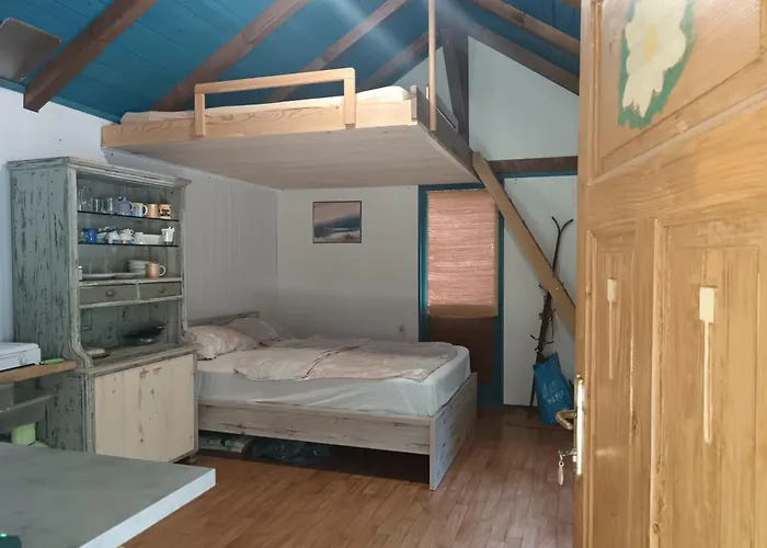 Campsite Hidden Near Kocevje