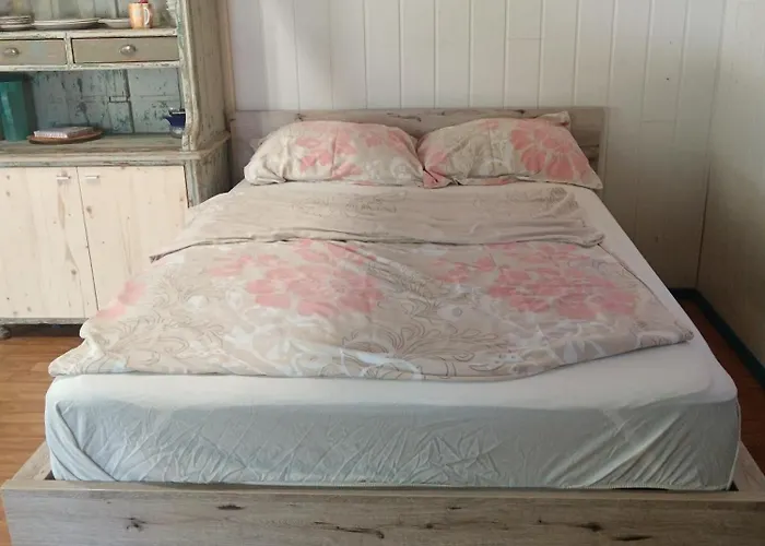 Hidden Near Campsite